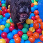 20260606_104133(0)